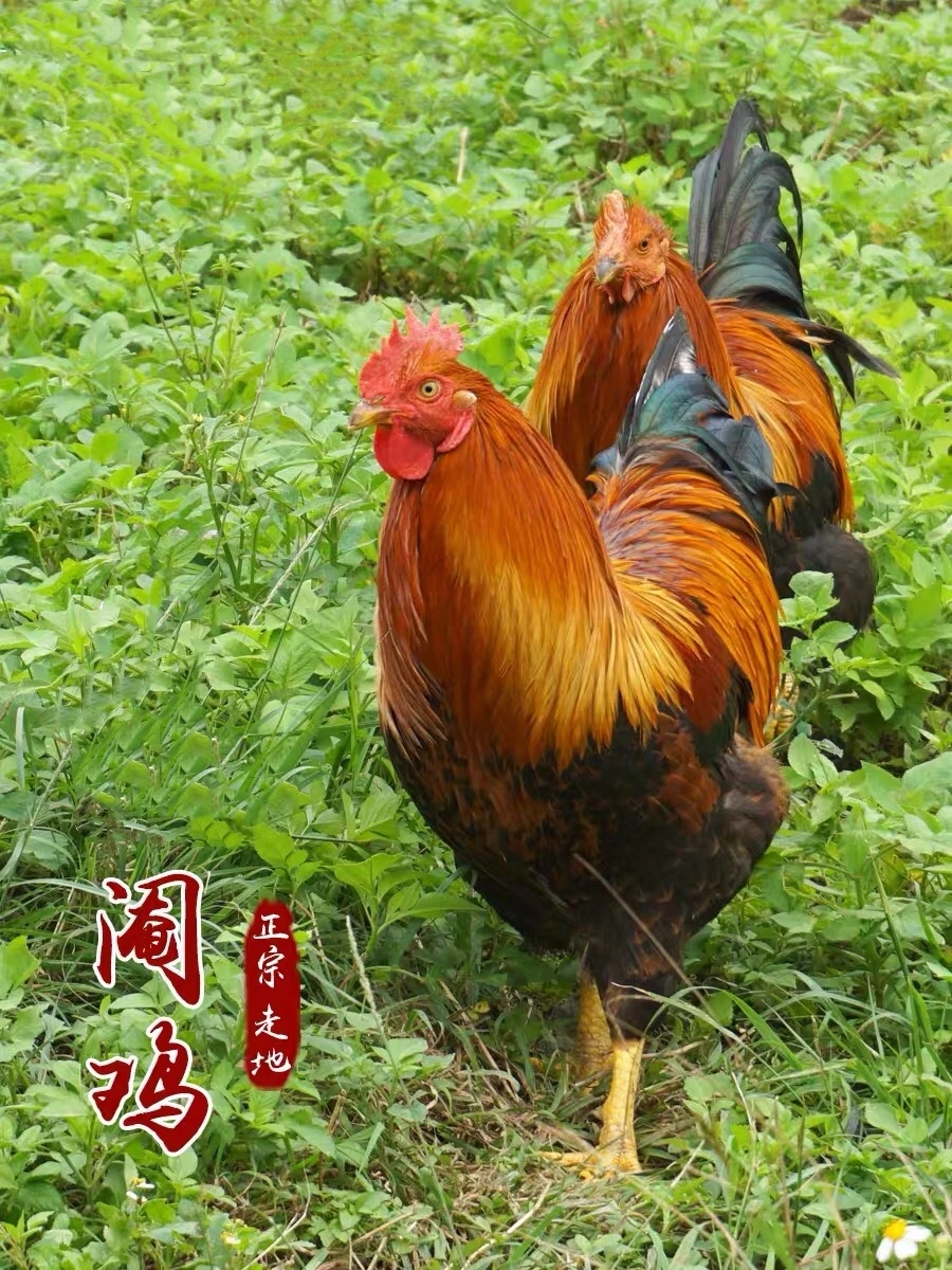 微信图片_20210330131314.jpg